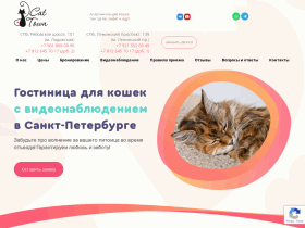 Зоогостиница для кошек Cat Town ждет в Санкт-Петербурге - cat-town.ru