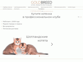 Клуб любителей кошек Голдбрид - goldbreed.ru