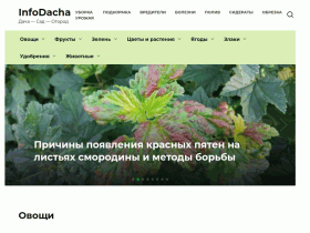 Дача-Сад-Огород - infodacha.ru