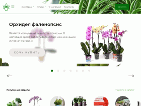 Интернет магазин комнатных растений Мильтония - miltoniya.ru