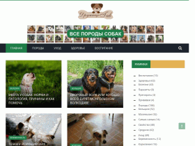 Современная онлайн-энциклопедия для тех, кто любит свою собаку - tvoidrug.com