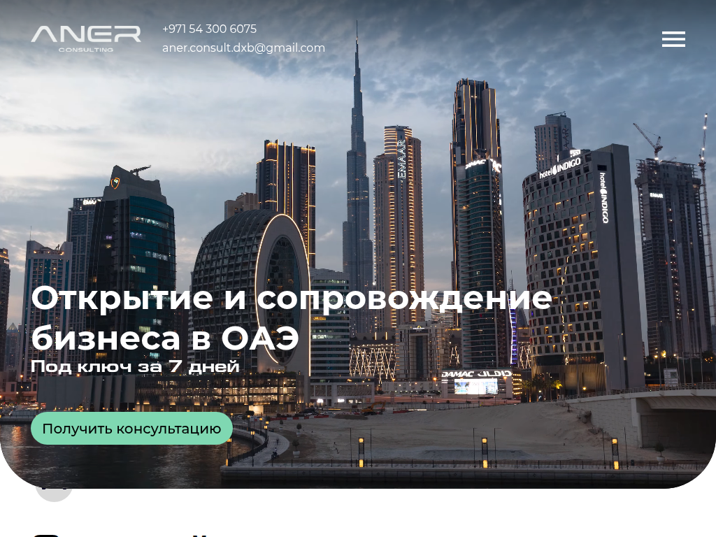 Aner Consulting консалтинговая компания в Дубае