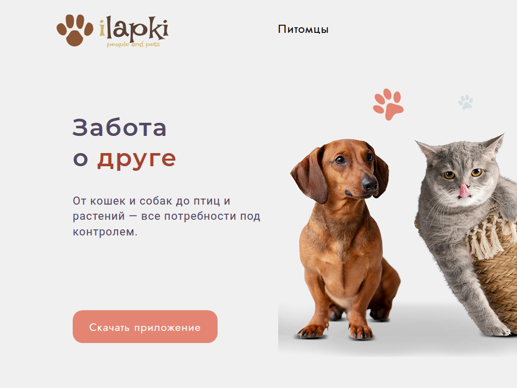 Календать питомца