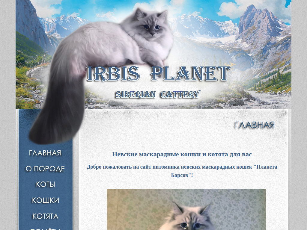 Невские маскарадные котята. Питомник Планета Барсов - продажа котят