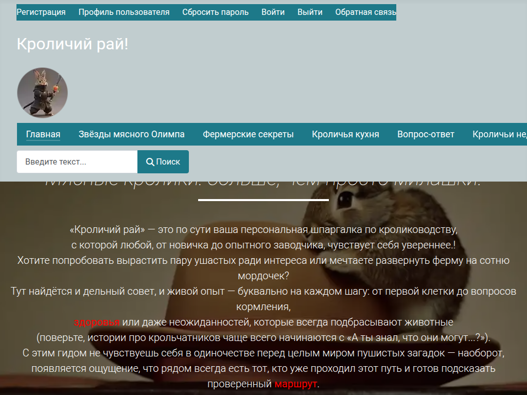 Мясные кролики: содержание, уход и выбор без жестокости