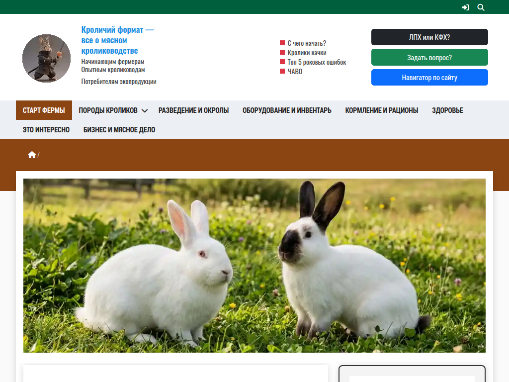 Кроличий формат - все о мясном кролиководстве