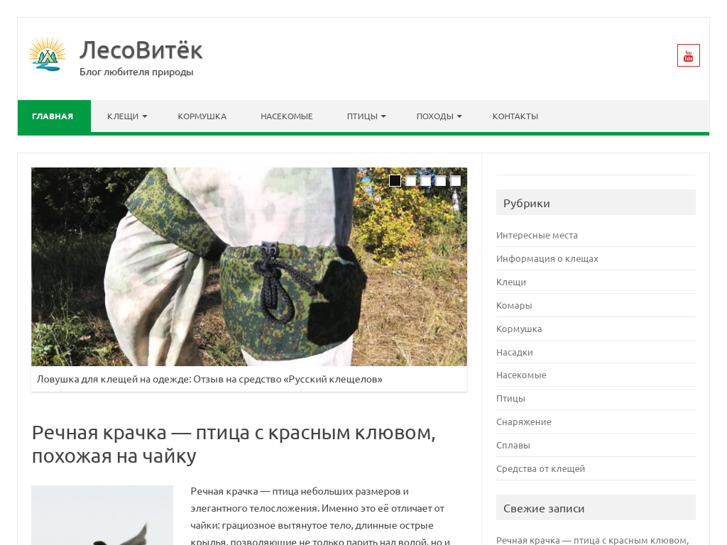 Природа, животные, рыбалка