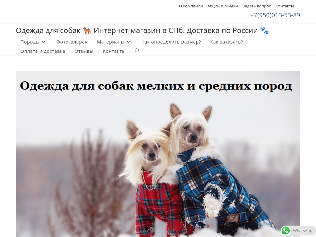 Одежда для небольших собак