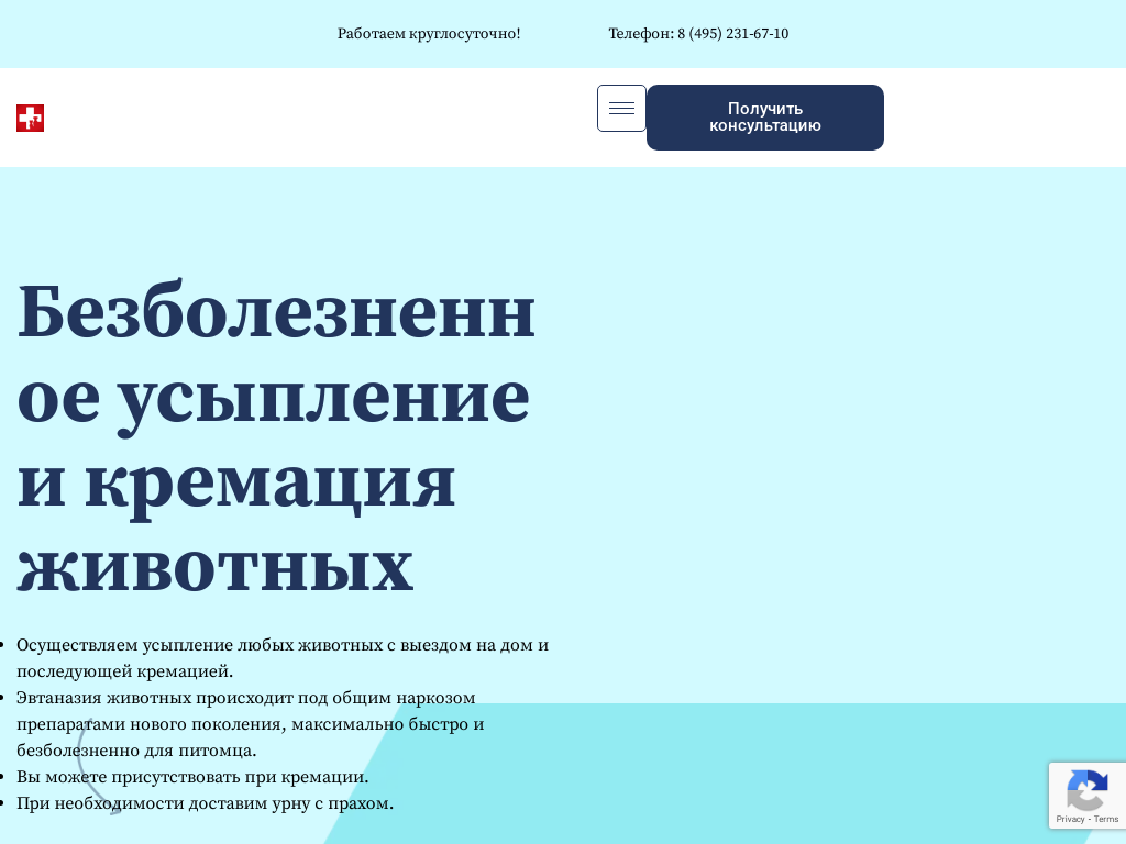 Ветеринарная служба МосВетЦентр