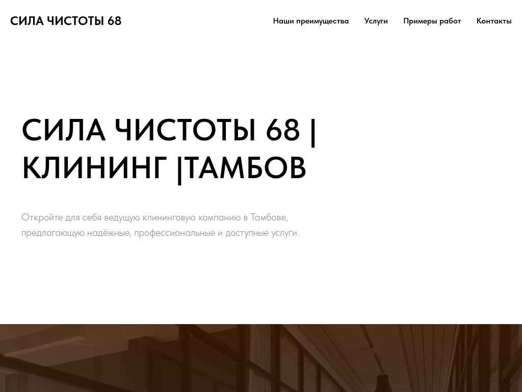 Сила Чистоты 68 - клининговая компания