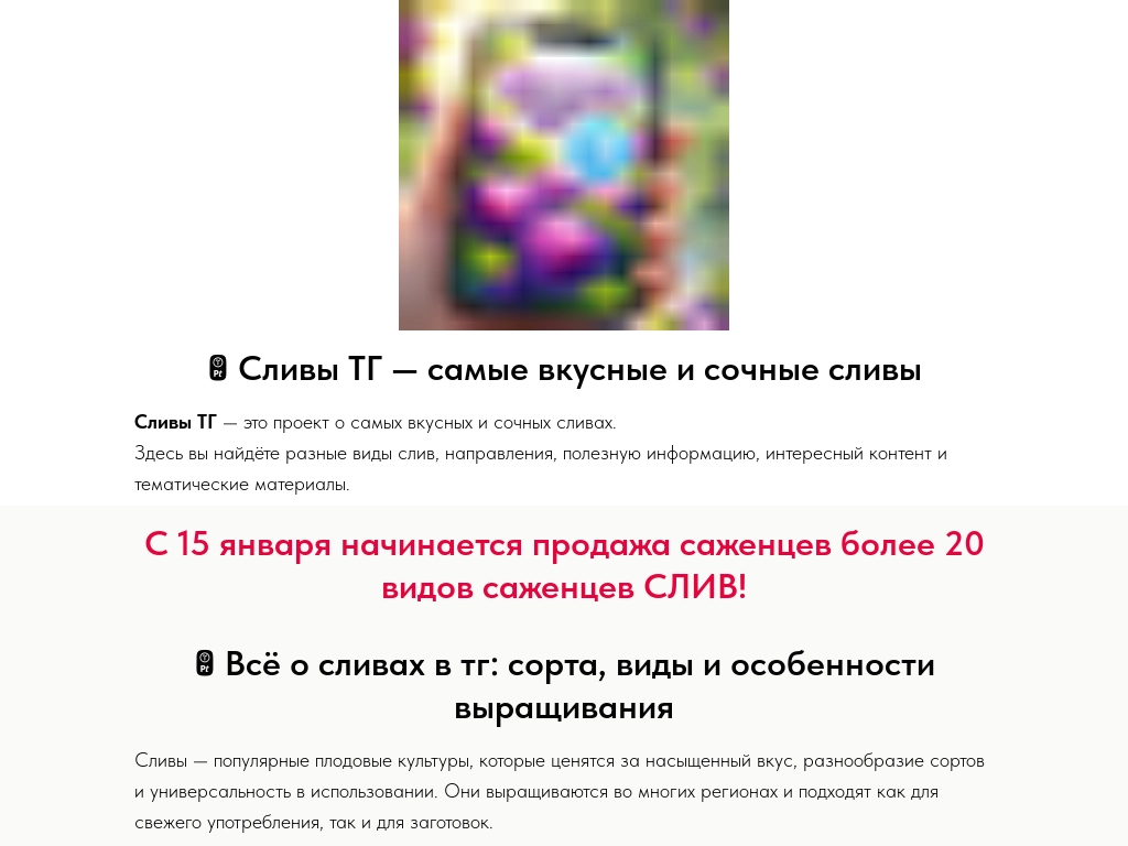 Сливы ТГ самые вкусные сливы, все виды и направления!