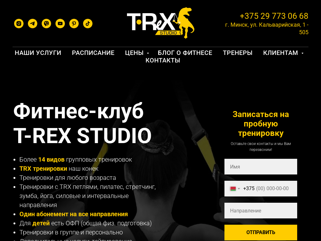 T-REX STUDIO - фитнес клуб во фрунзенском районе. Тренировки TRX