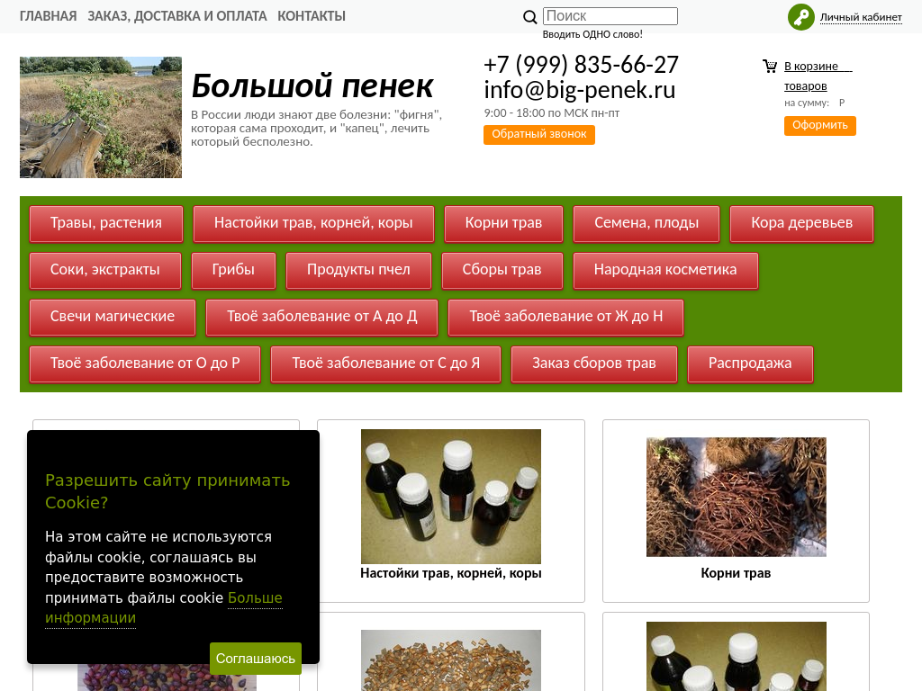 Интернет-магазин Большой пенек