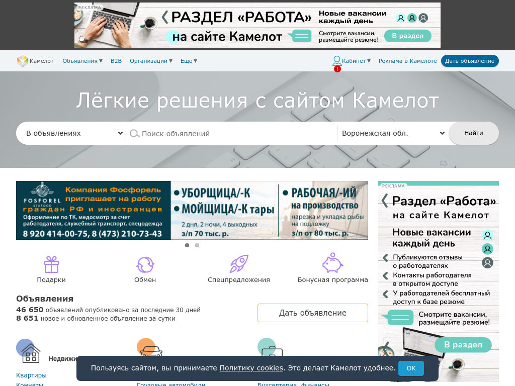 Камелот доска объявлений Воронежа: частные, бесплатные объявления