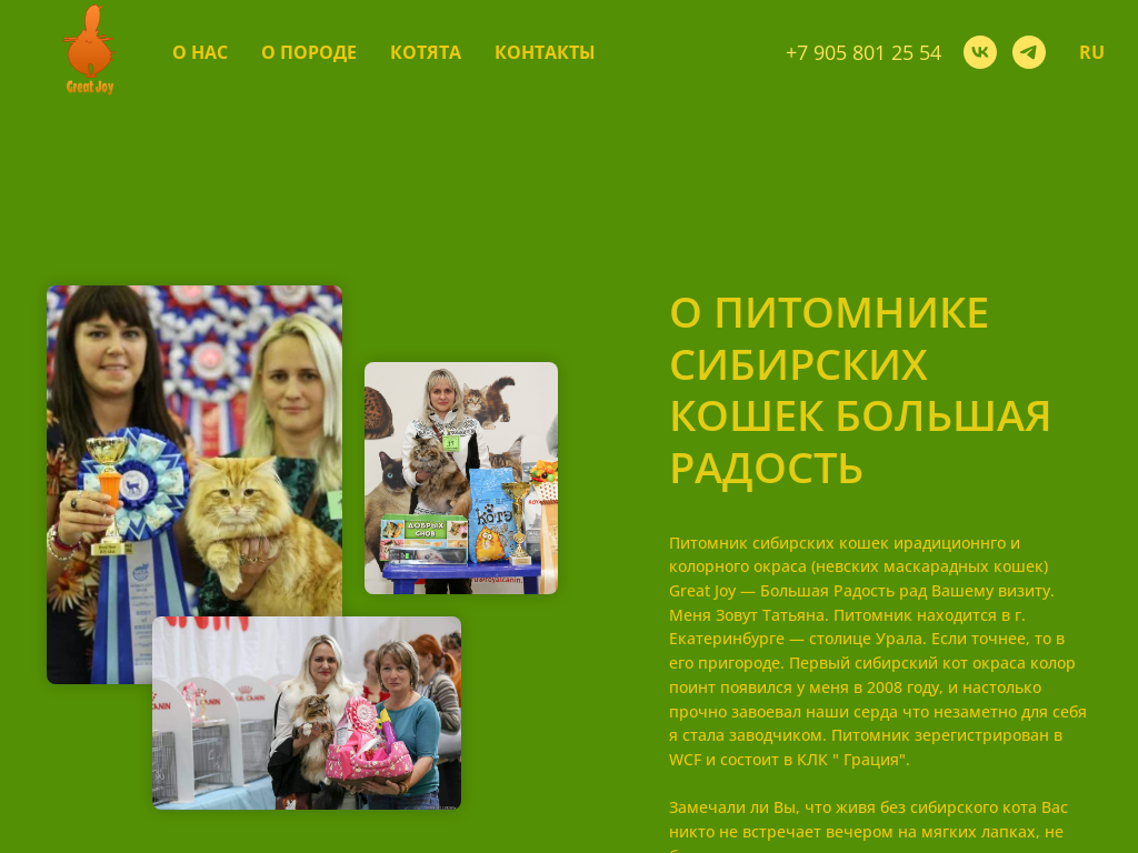 Питомник сибирских кошек Большая Радость, Siberian cattery Great Joy