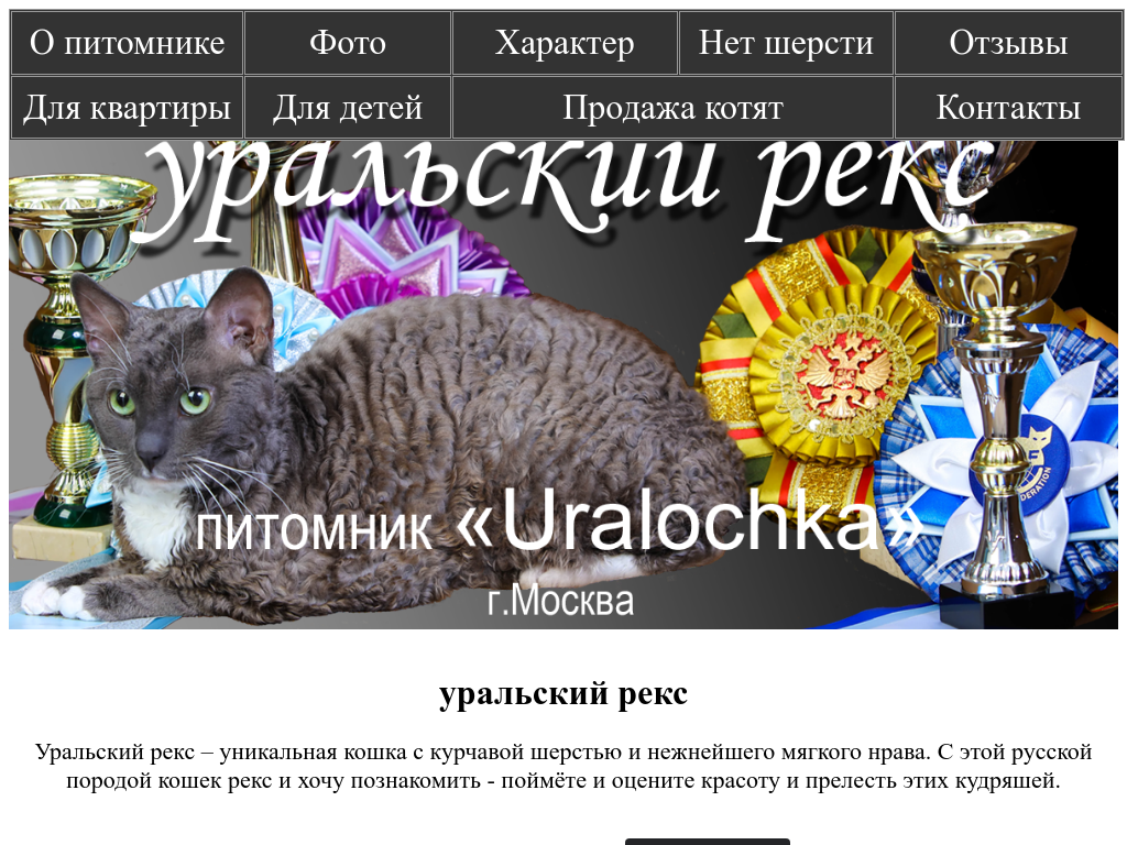 Уральский рекс - кошки с кудрявой шерстью