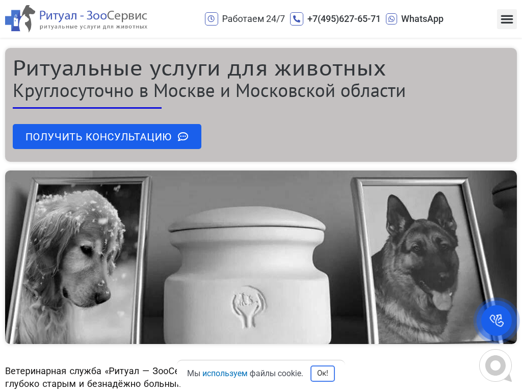 Усыпление и кремация животных в Москве