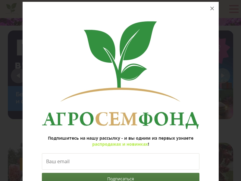 Интернет-магазин саженцев, семян Агросемфонд в Нижнем Новгороде