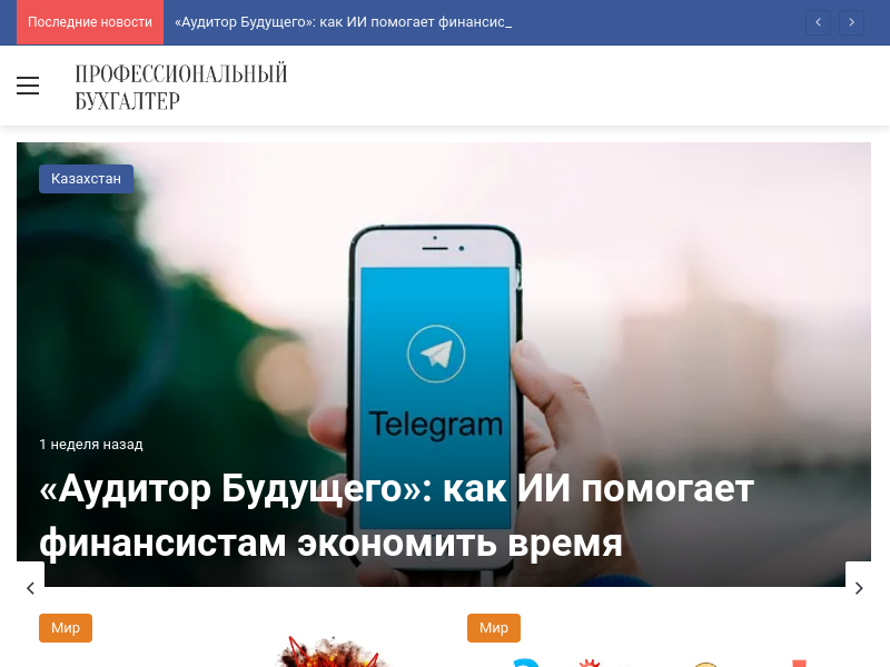Профессиональный бухгалтер