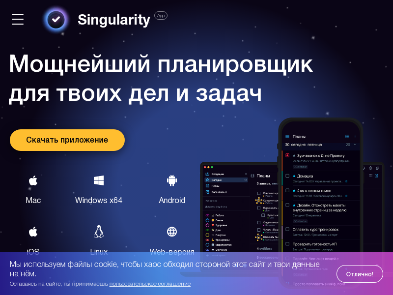 SingularityApp Разработка компьютерного программного обеспечения