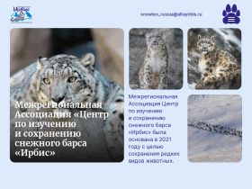 Межрегиональная Ассоциация Центр по изучению и сохранению снежного - altayirbis.ru