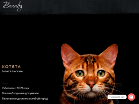 Питомник Benaby - абиссинские кошки, бенгальские, чаузи саванны - benaby.ru