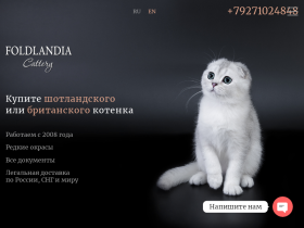 Питомник Фолдландия - шотландские и британские котята - foldlandia.ru