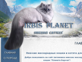 Питомник невских маскарадных кошек Планета Барсов (Irbis Planet - irbis-cat.ru