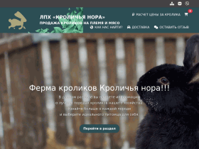 Кролики на любые цели - knora.ru