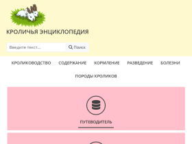 Кролики и Вы: все самое новое и актуальное