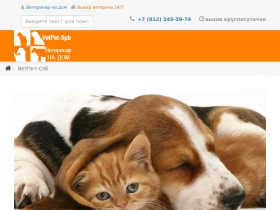 Ветеринар на дом в Санкт-Петербурге - vet-pet-spb.ru