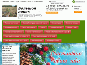 Интернет-магазин Большой пенек - www.big-penek.ru