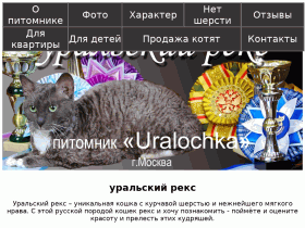 Уральский рекс - кошки с кудрявой шерстью - www.ural-reks.ru