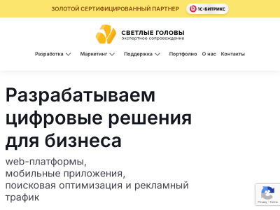 Светлые головы - разрабатываем цифровые решения для бизнеса