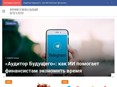 Профессиональный бухгалтер