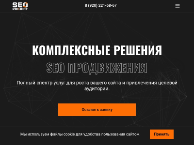 SEO продвижение и разработка сайтов